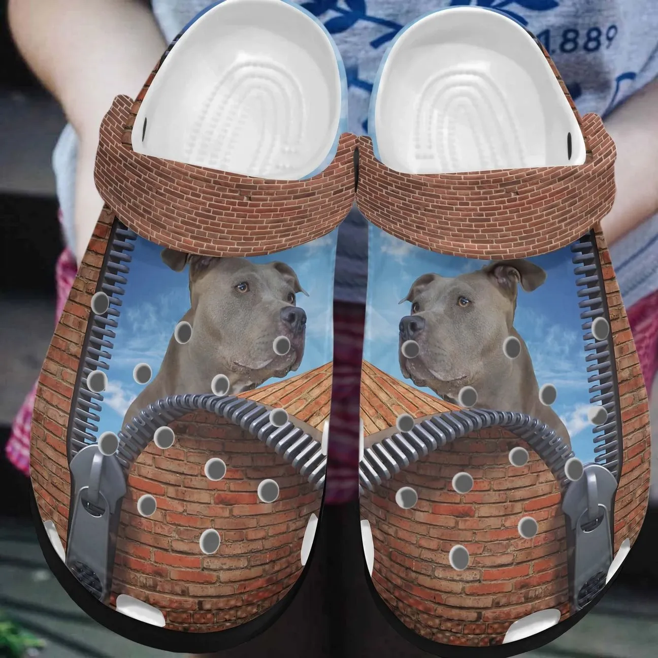 Pitbull Personalized Clog Custom Crocs Comfortablefashion Style Comfortable For Women Men Kid Print 3D Pitbull Wall